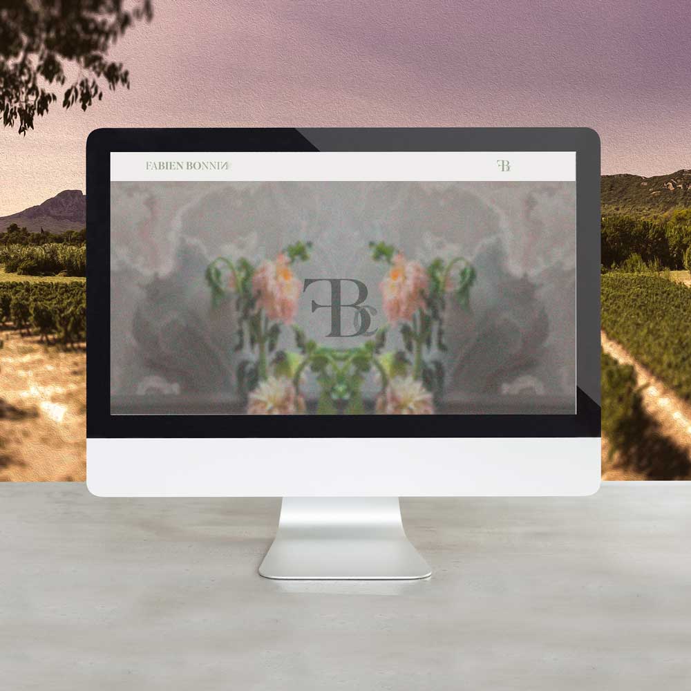 Fabien Bonnin consulting